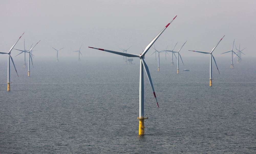 The offshore wind farm O&M procedures